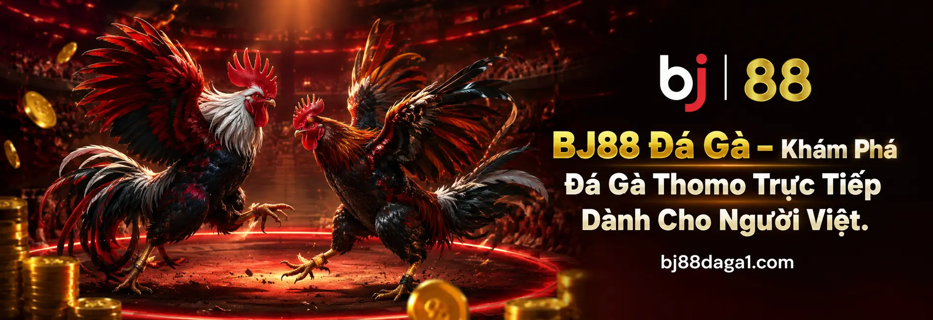 BJ88 Đá Gà – Khám Phá Đá Gà Thomo Trực Tiếp Dành Cho Người Việt