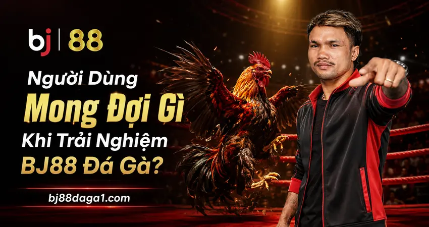 Trải Nghiệm BJ88 Đá Gà 2026 – Live Thomo & Mobile